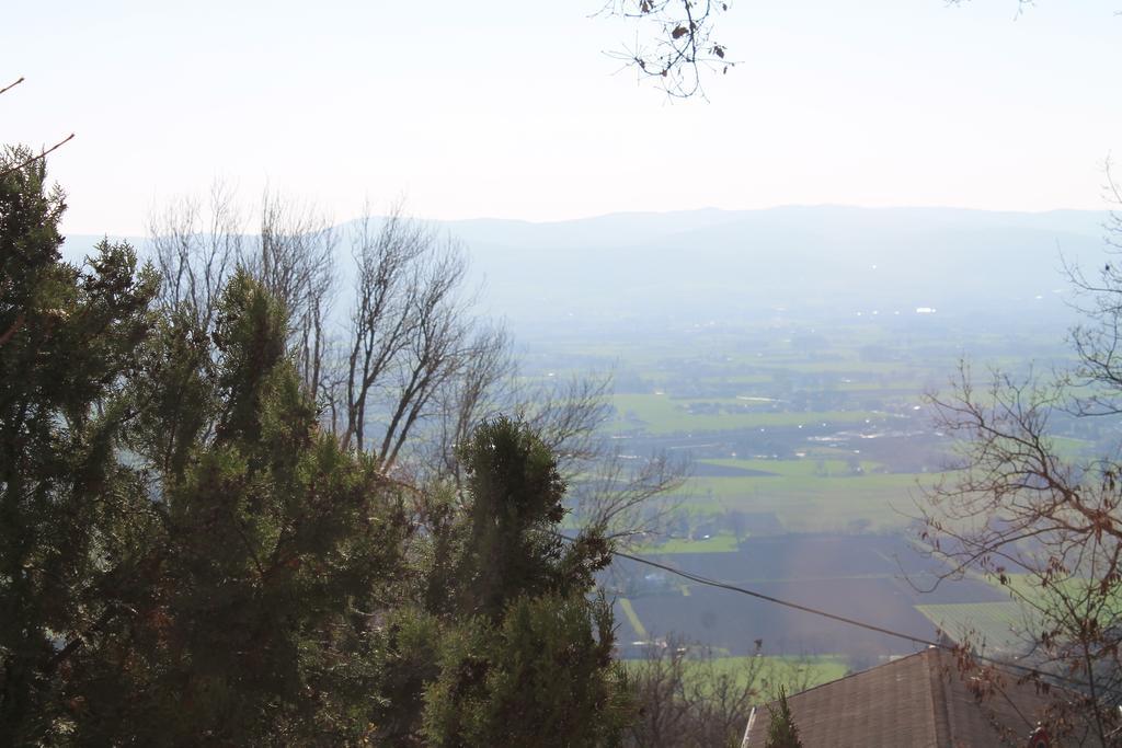 Sogni D'Assisi Bed & Breakfast Exterior photo